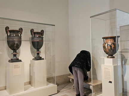 Day at the METs-Museum-011626