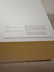 Day at the METs-Museum-011626