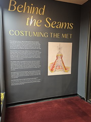 Day at the METs-Opera-011626