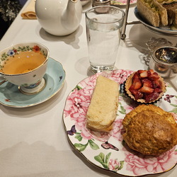 Seein' the DMV-Celebrating the Holidays-2025