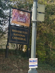 Seein' the DMV-Cherry Blossoms-National Cathedral-032626