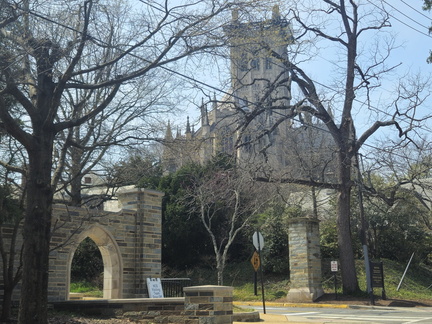 Seein' the DMV-Cherry Blossoms-National Cathedral-032626