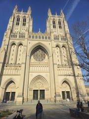 Seein' the DMV-Cherry Blossoms-National Cathedral-032626