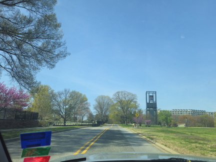 Seein' the DMV-Tulips, Carillon, and National Harbor-033126