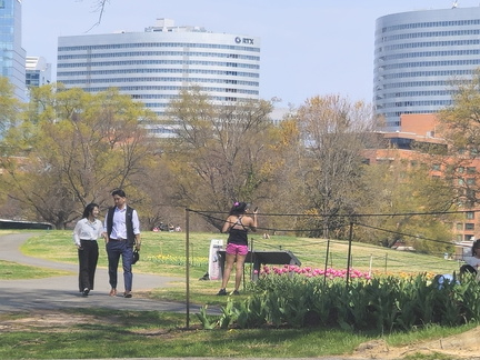 Seein' the DMV-Tulips, Carillon, and National Harbor-033126