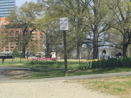 Seein' the DMV-Tulips, Carillon, and National Harbor-033126