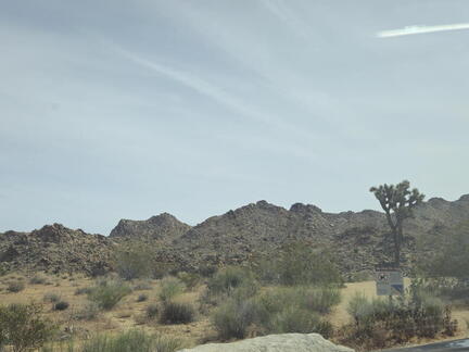 California-Oregon National Parks-Joshua Tree NP-Day 5-042226