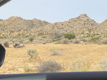 California-Oregon National Parks-Joshua Tree NP-Day 5-042226