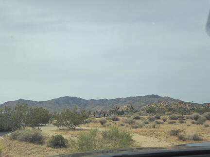 California-Oregon National Parks-Joshua Tree NP-Day 5-042226