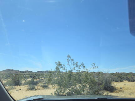 California-Oregon National Parks-Joshua Tree NP-Day 5-042226