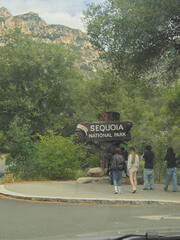 California-Oregon National Parks-Sequioa-Kings Canyon NPs-Day 7-042426