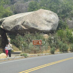 CA-OR NPs-Sequoia-Kings Canyon-042426