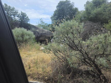 California-Oregon National Parks-Sequioa-Kings Canyon NPs-Day 7-042426