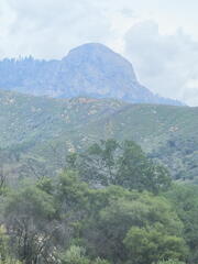 California-Oregon National Parks-Sequioa-Kings Canyon NPs-Day 7-042426