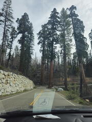 California-Oregon National Parks-Yosemite-Days 7-8-0425-0426-2626