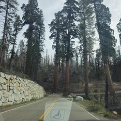 CA-OR NPs-Yosemite NP-0425-2626