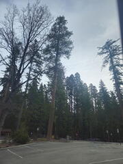California-Oregon National Parks-Yosemite-Days 7-8-0425-0426-2626