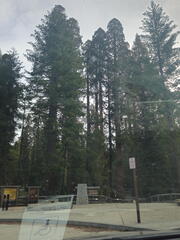 California-Oregon National Parks-Yosemite-Days 7-8-0425-0426-2626