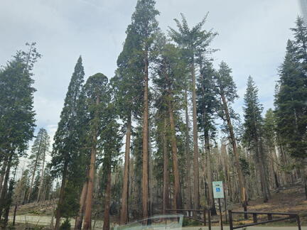 California-Oregon National Parks-Yosemite-Days 7-8-0425-0426-2626