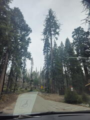 California-Oregon National Parks-Yosemite-Days 7-8-0425-0426-2626
