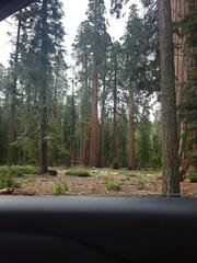 California-Oregon National Parks-Yosemite-Days 7-8-0425-0426-2626