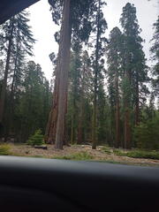 California-Oregon National Parks-Yosemite-Days 7-8-0425-0426-2626
