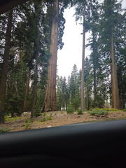 California-Oregon National Parks-Yosemite-Days 7-8-0425-0426-2626