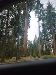 California-Oregon National Parks-Yosemite-Days 7-8-0425-0426-2626
