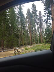 California-Oregon National Parks-Yosemite-Days 7-8-0425-0426-2626