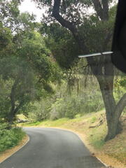 California-Oregon National Parks-Pinnacles-Day 9-042626