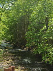 New River Gorge NP-051926